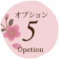 オプション5
