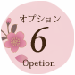 オプション6