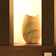 リニューアル客室 タイプ1