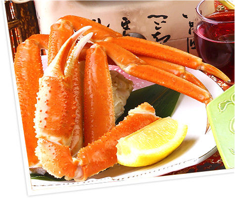 料理写真