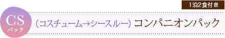 CS（コスチューム→シースルー）コンパニオンパック
