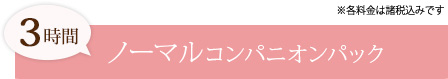 3時間ノーマルコンパニオンパック
