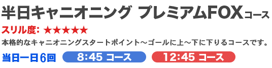 �����L���j�I�j���O �v���~�A��FOX�R�[�X�@�X�����x��5
�{�i�I�ȃL���j�I�j���O�X�^�[�g�|�C���g�`�S�[���ɏ�`���ɉ����R�[�X�ł��B
��������U��w8�F45 �R�[�X�x�w12�F45 �R�[�X�x