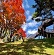 上ノ山公園(15分?20分)
