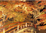 上ノ山公園紅葉ライトアップ