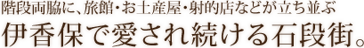 階段両脇に、旅館・お土産屋・射的店などが立ち並ぶ伊香保で愛され続ける石段街。