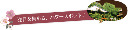 注目を集める、パワースポット !